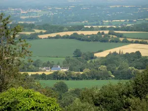 Heuvel Butte du Montaigu - Panorama van Montaigu: uitzicht op het landschap van het bos Coëvrons vanaf de top van de heuvel