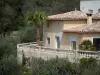 Hinterland - Provenzalisches Haus mit seiner Palme und seinen Olivenbäumen