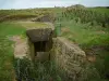 Hoc headland - Landing site: barbed wires, bunker and craters