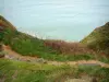 Hoc headland - Landing site: grassland and barbed wires with view of the Channel (sea)