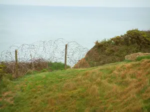 Hoc headland - Landing site: grassland and barbed wires with view of the Channel (sea)