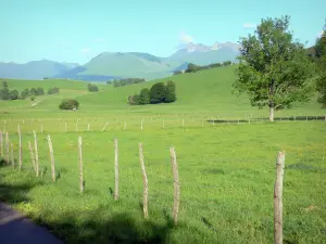 Hochebene des Bénou - Blick auf die Weideplätze der Hochebene des Bénou und die umliegenden Berge