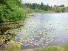 Hochebene Millevaches - Regionaler Naturpark Millevaches im Limousin: Teich Oussines bestreut mit Wasserrosen