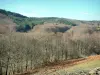 Hochebene Millevaches - Regionaler Naturpark Millevaches im Limousin: Wald der Hochebene Millevaches