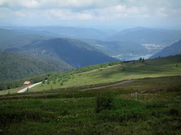 Hohneck - Du sommet de la montagne, vue sur une prairie parsemée de fleurs sauvages et sur un lac entouré de collines (Parc Naturel Régional des Ballons des Vosges)