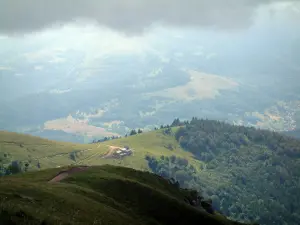 Hohneck - La cima de la montaña, con vistas a los pastos (pastizales de altura) y en los bosques, nubes en el cielo (Parque Natural Regional de Ballons des Vosges)