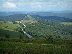 Hohneck - Du sommet de la montagne, vue sur des remontées mécaniques et des collines couvertes de forêts (Parc Naturel Régional des Ballons des Vosges)