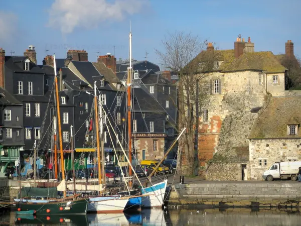 Honfleur - Barche a vela del Vieux Bassin (marina), dock, Luogotenenza e case alte coperte di ardesia