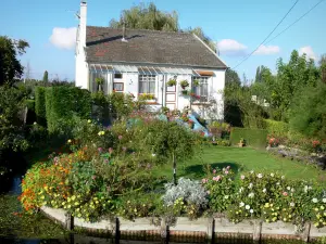 Hortillonnages of Amiens gardens - Hut and flower garden along the water (canal)