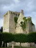 Houssoy keep - Keep, remains of the old Houssoy fortified castle, in Crouy-on-Ourcq