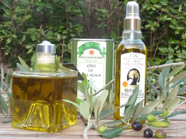 L'huile d'olive de Corse - Guide gastronomie, vacances & week-end en Corse