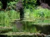 Huis en tuinen van Claude Monet - Monet's tuin in Giverny: Water Garden: Vijver lelie (lelie vijver) bezaaid met waterlelies, riet, bomen en vegetatie