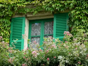 Huis en tuinen van Claude Monet - Monet's House in Giverny: een venster met groene luiken, wijn en bloemen