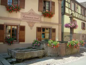 Hunawihr - Fuente de flores y casas con fachadas de colores y ventanas adornadas con flores (geranios)