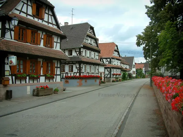 Hunspach - Rue fleurie avec des maisons blanches à colombages