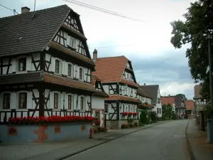 Hunspach - Rue avec des maisons blanches à colombages ornées de fleurs (géraniums)