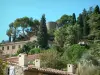 Hyères - Roofs of the houses with view of the trees in the park of the castle