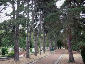 Iglesia ortodoxa de Sainte-Geneviève-des-Bois - Los árboles y las tumbas de Rusia en el cementerio