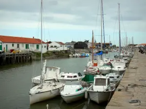 Île de Noirmoutier - Noirmoutier-en-l'Île : port avec ses bateaux amarrés 