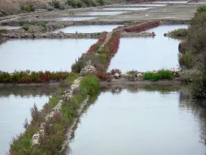 Île de Noirmoutier - Marais salants