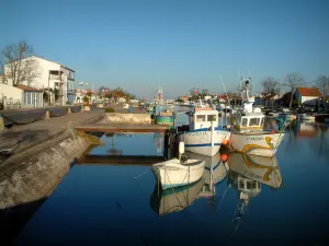 Île d'Oléron - Boyardville : port avec ses bateaux amarrés