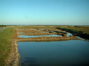 Île d'Oléron - Route des huîtres : claires (bassins)