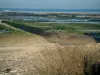Île de Ré - Arbustes sauvages en premier plan, galets, écluse à poissons, à marée basse, oiseaux sauvages et mer en arrière-plan