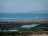 Île de Ré - Algues, galets, mer et plage de la Conche des Baleines en arrière-plan