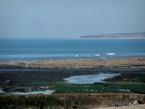 Île de Ré - Algues, galets, mer et plage de la Conche des Baleines en arrière-plan