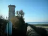 Île de Ré - Vieille Tour, arbres et mer (océan Atlantique)