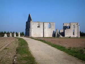 Île de Ré - Overblijfselen van de cisterciënzer abdij van Notre-Dame-de-Re, die bekend staat Châteliers