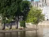 Île Saint-Louis - Quai de Bourbon à la pointe de l'île Saint-Louis agrémentée d'arbres, et fleuve Seine