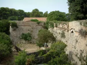 Îles de Lérins - Île Sainte-Marguerite : remparts (fortifications) du fort Royal et arbres