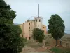 Îles de Lérins - Île Sainte-Marguerite : arbres, tour du sémaphore et musée de la Mer, dans le fort Royal