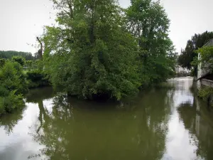 Indre valley - The River Indre and trees along the water