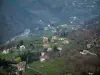 Inland countryside - Landscape with houses and forest