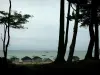 Insel Normoutier - Bäume des Waldes Chaise vorne, mit Blick auf die Umkleidekabinen
des Strandes Dames und die Boote auf dem Meer (Atlantische Ozean)