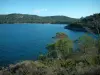 Insel Porquerolles - Südländische Vegetation, Mittelmeer, wilde Küsten und Wälder