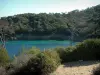 Insel Porquerolles - Südländische Vegetation, Pfad, Mittelmeer und Wald