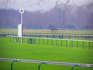 Ippodromo di Longchamp - Racetrack e gli alberi