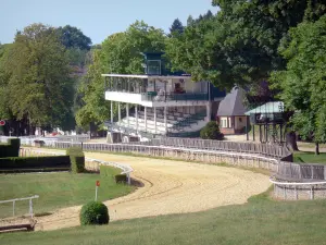 Ippodromo di Pompadour - Traccia e tribune in un bosco; nella città di Arnac-Pompadour