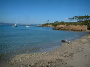 Isla de Porquerolles - Playa, mar Mediterráneo, con los barcos, la costa salvaje de la isla y los árboles