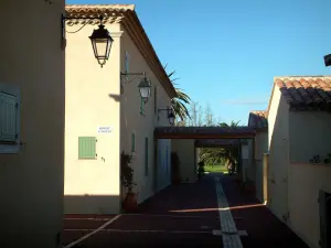 Isla de Porquerolles - Casas en el pueblo de Porquerolles