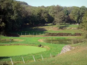 L'Isle Crémieu plateau - Ponds, meadows and trees