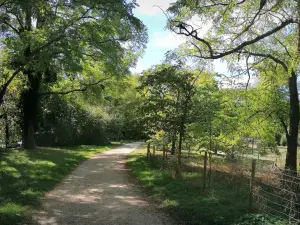 L'isola degli impressionisti - Sentiero alberato adatto alle passeggiate