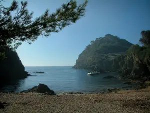 Isola di Porquerolles - Creek di Brégançonnet: rami di un pino (albero) in primo piano, piccola spiaggia, scogli e sul Mar Mediterraneo con una barca