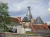 Issoudun - Steeple of the belfry and roofs of the old town