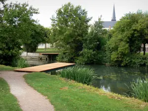 Issoudun - Parc François Mitterrand : promenade au bord de la rivière, arbres au bord de l'eau ; clocher de l'église Saint-Cyr en arrière-plan