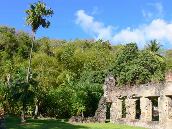 Jardín botánico de Carbet - Hacienda Latouche - Las ruinas de la antigua plantación de azúcar Anse Latouche en una zona verde; en la ciudad de Carbet