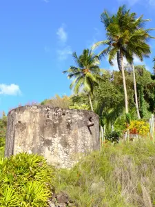 Jardín botánico de Carbet - Hacienda Latouche - Remanente de la casa Anse Latouche